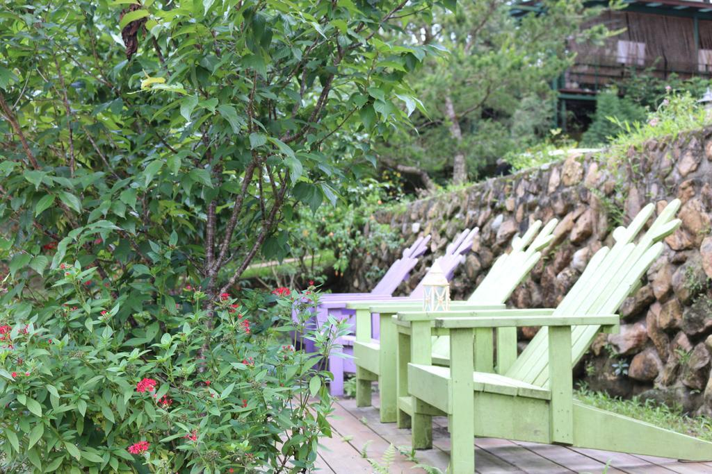Bear Meets Moose Homestay B&B Puli Ngoại thất bức ảnh